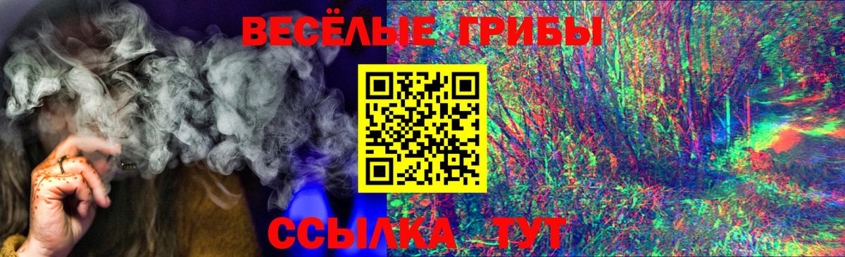 Галлюциногенные грибы Psilocybe Ярцево